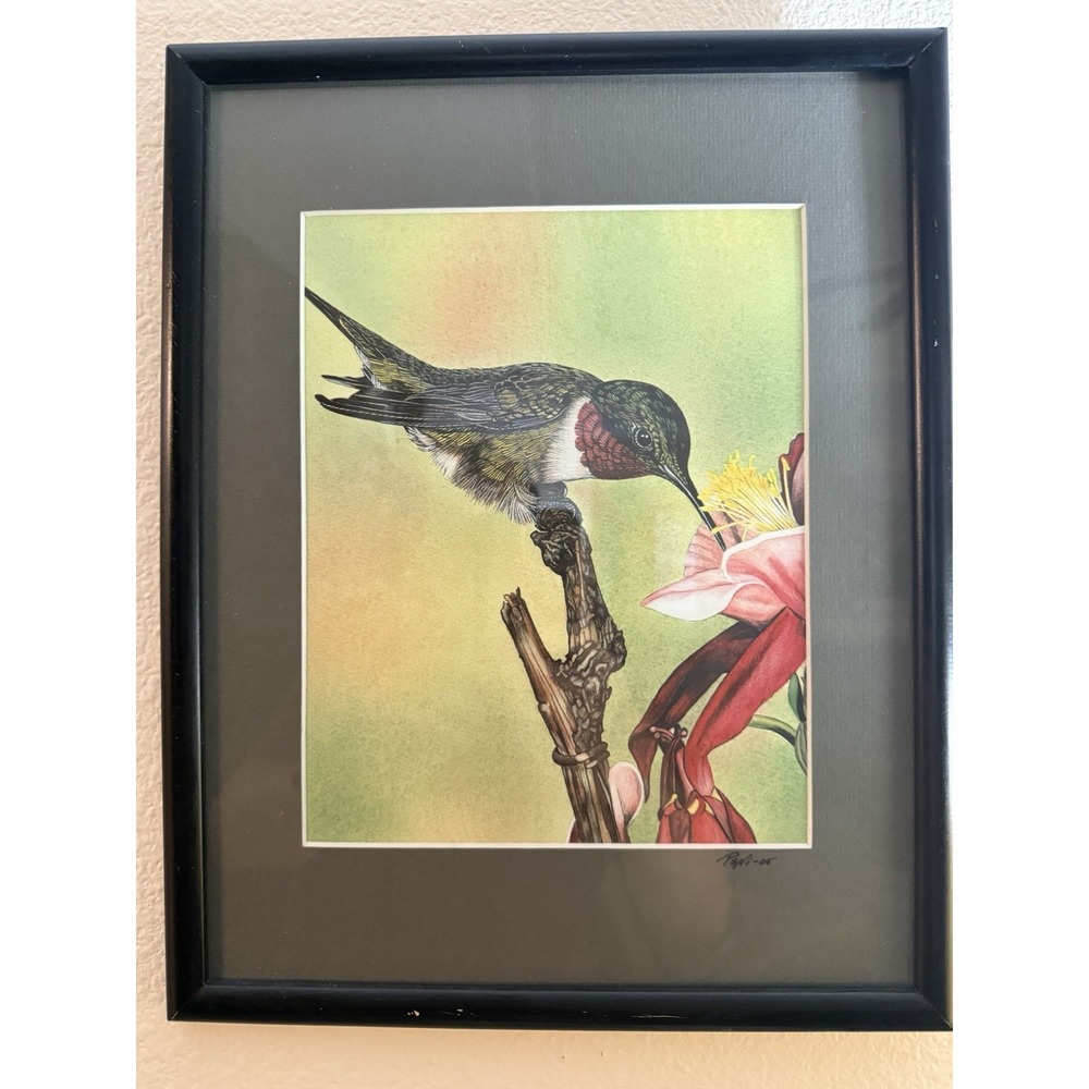 Peni Campbell Original Watercolor Pencil Hummingbird Painting Signed 2005